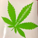 Cannabis Blatt Aufkleber Grün groß inkl. Homepage ca 21 cm x 23 cm